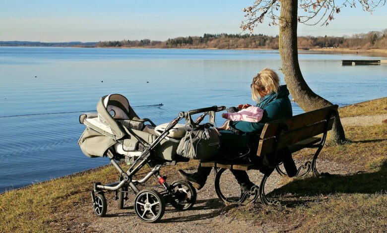 Best Infant Travel Stroller